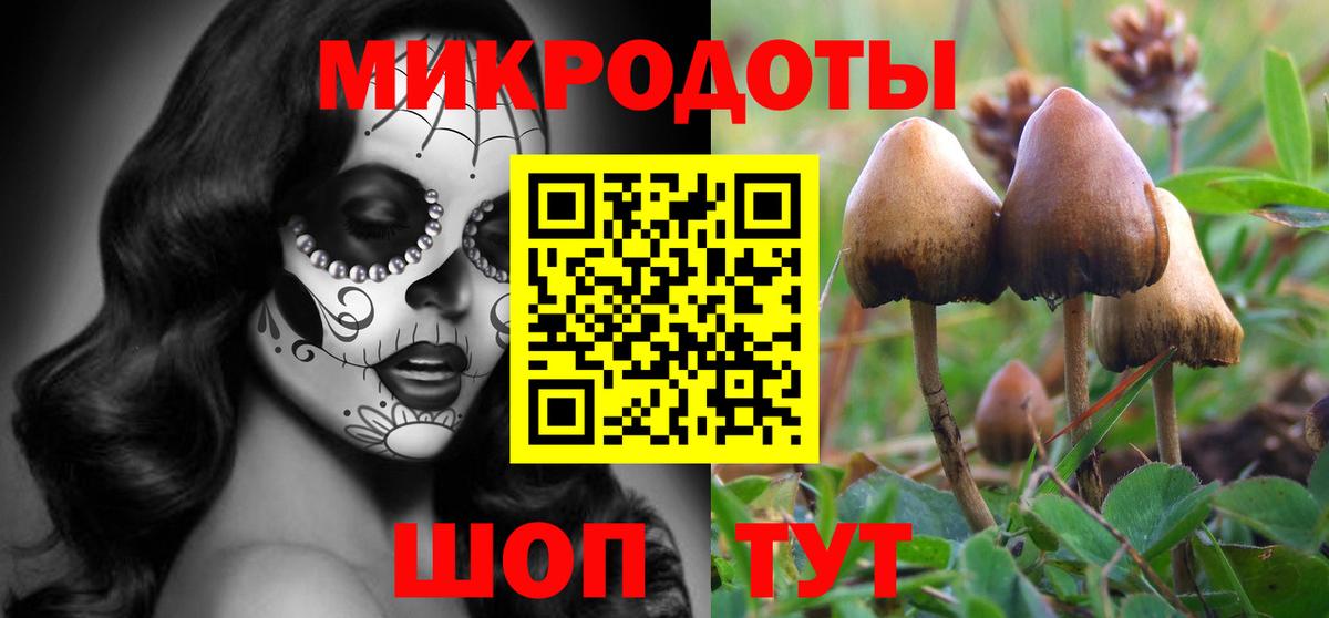 Меф Богородицк