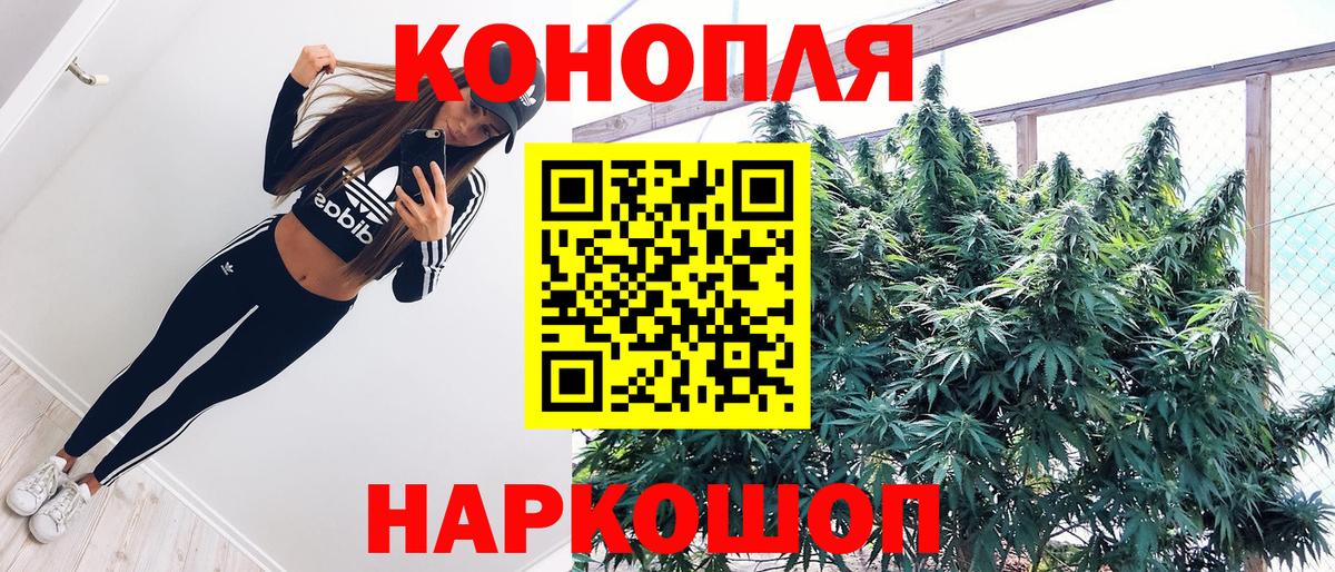 Каннабис тримм  Марихуана сатива  Богородицк  Бошки Шишки конопля  Вход с VPN 